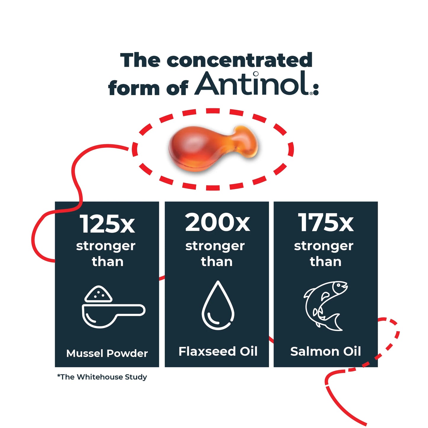 Antinol Plus for Cats