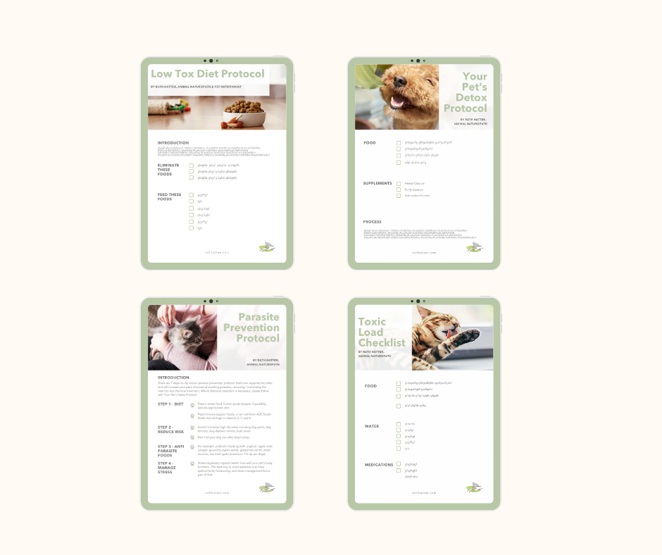 The Low Tox Pets Handbook