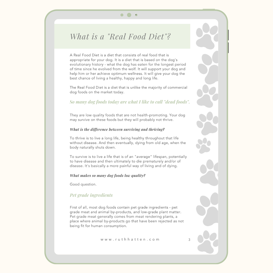 The Real Food Diet for Dogs
