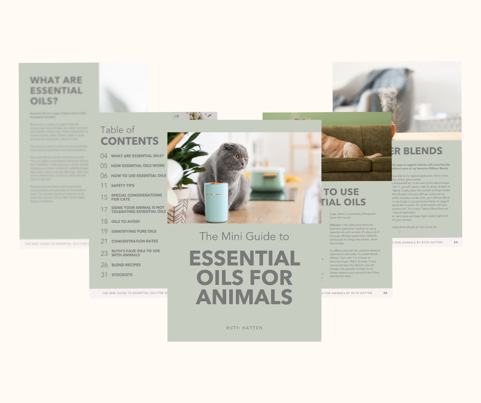 The Mini Guide to Essential Oils for Animals