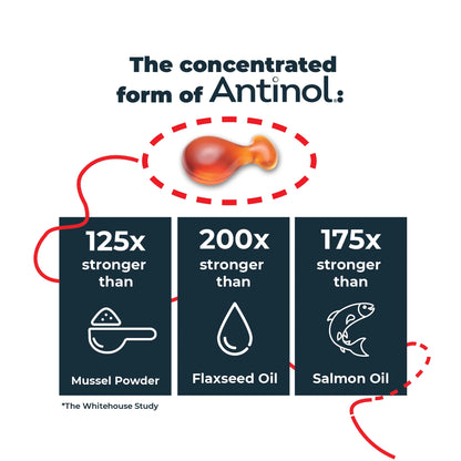 Antinol Plus for Cats