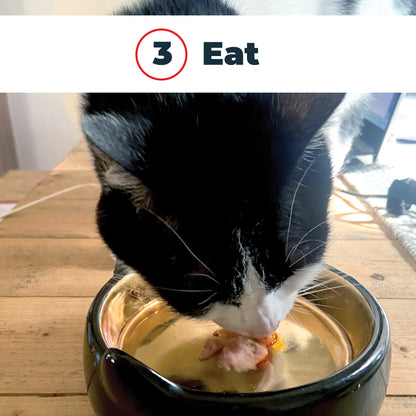 Antinol Plus for Cats