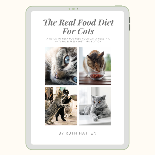 The Real Food Diet for Cats