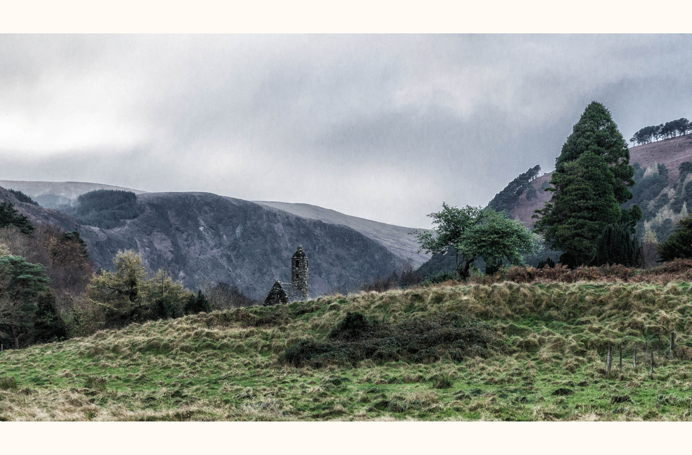 What is Three Rays Animal Apothecary? | Our Holistic Pet Care Philosophy