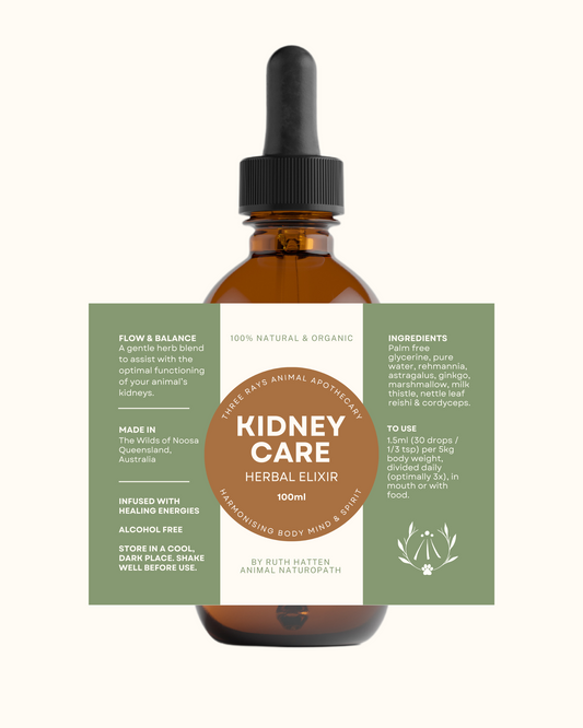 Kidney Care Herbal Elixir