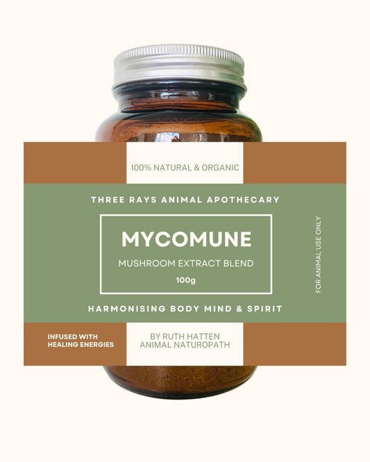 MycoMune Mushroom Extract