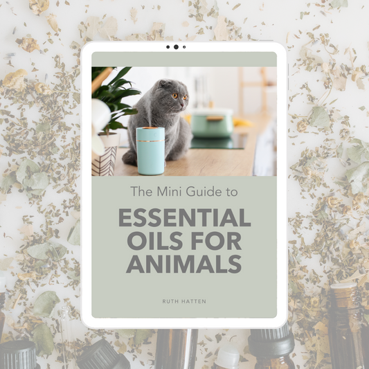 The Mini Guide to Essential Oils for Animals