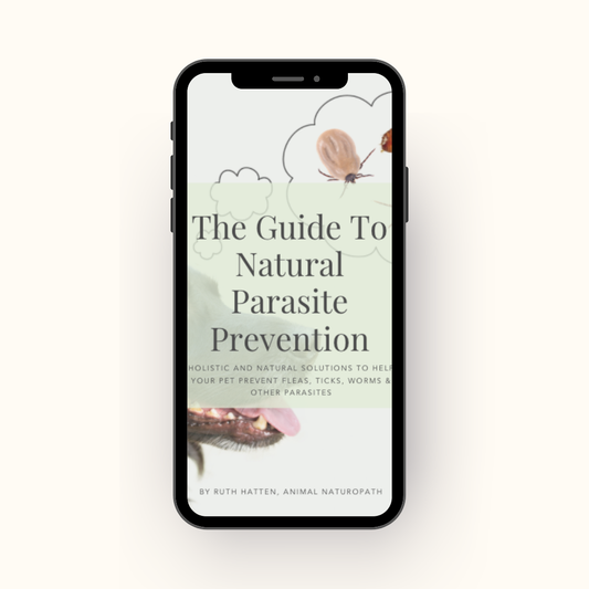 The Guide to Natural Parasite Prevention